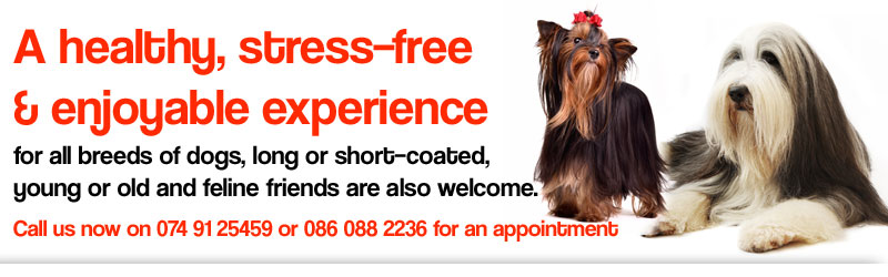 All Breeds Dog Grooming Centre promotes a healthy, stress–free and enjoyable grooming experience